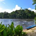 Relaxen in groen Suriname